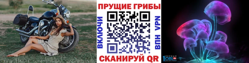 закладки Заводоуковск Галлюциногенные грибы ЛСД